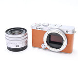 Panasonic Lumix DC-S9N With 18-40mm F/4.5-6.3 Lens (Camel Orange)