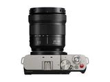 Panasonic Lumix DC-S9 Kit with S 20-60mm f/3.5-5.6 Lens (Silver) (DC-S9KS)